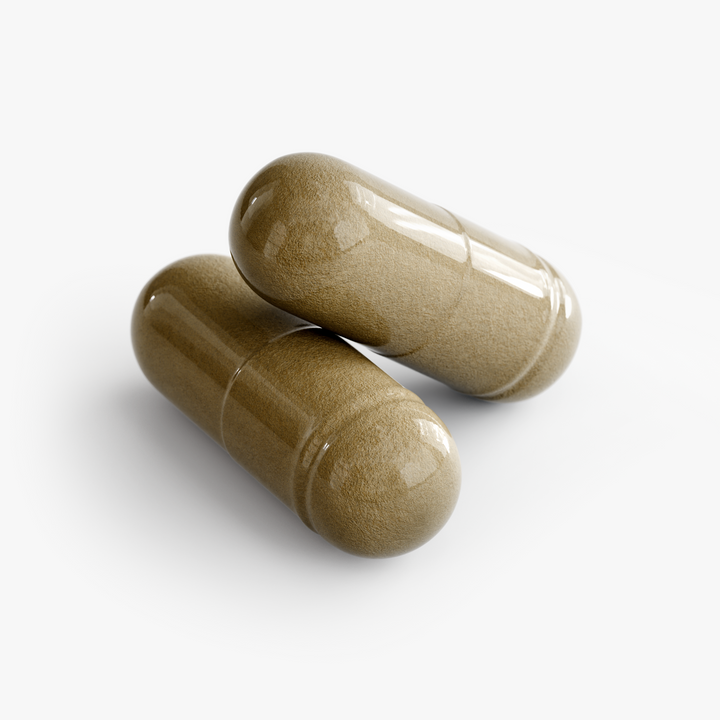 Ginkgo Biloba + Ginseng